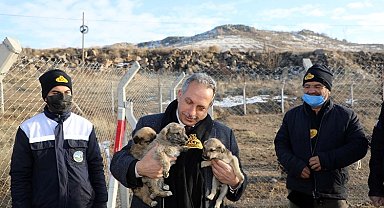 Kayseri Talas'a Türkiye'ye örnek Pati Evi